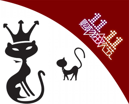收入证明_11.11天猫收入