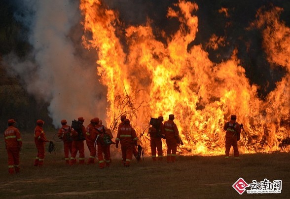 云南野生动物园举行城市消防演练和森林消防演