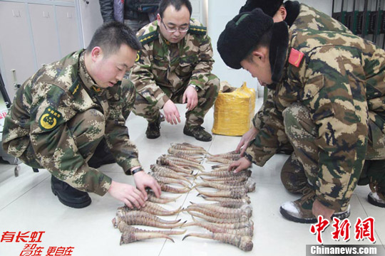 新疆霍尔果斯边检站查获重大走私珍贵野生动物