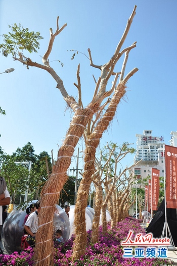 绿化宝岛行动 150株黄花梨落户三亚年轮小区