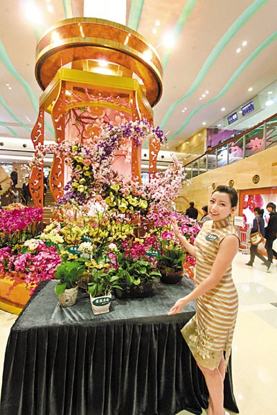 欢贺蛇年 去香港游商场庆新春(图)