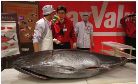 Maxvalu 广州开业 68公斤金枪鱼现场尝鲜