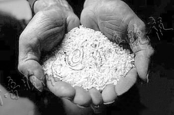 湖南万吨镉超标大米流入广东市场