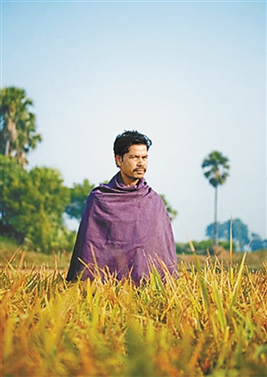 印度农民杂交水稻单产破世界纪录