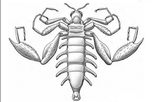 1.6亿年前的蚊子死了都要爱