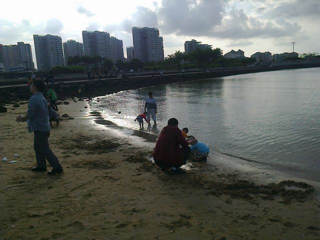 海口天气晴好适宜外出 孩子大人海边嬉水玩耍