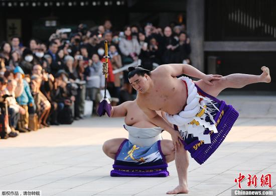 日华媒:日本相扑选手为何要练就一身膘?