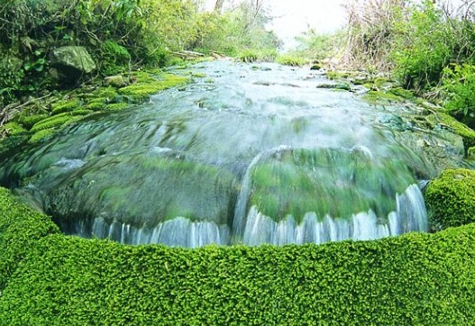 重庆百余森林公园自然保护区 明天可免费玩(图