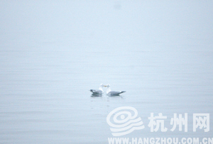 一年里头现在的雨最不招人讨厌
