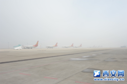 西安咸阳国际机场73个航班受大雾影响延误