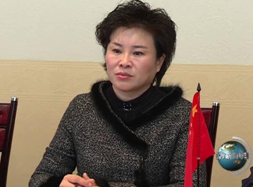 全国人大代表,伊春市市长高环.资料图