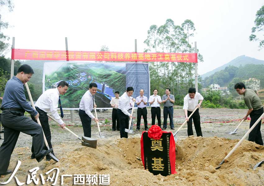 广西高峰林场林下肉鸭养殖基地奠基 一期投资