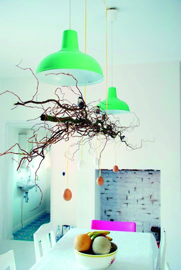 树生活是什么品牌 b72eaa885033652566c2abff9681fdba.jpg