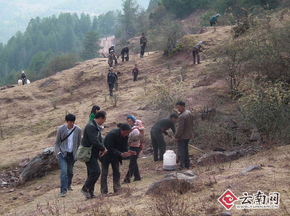 鲅鱼圈农民人口_...图为四段职工、农民工在鲅鱼圈牵引变电所进行安全质量宣(3)