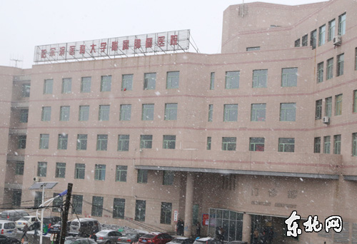 哈尔滨医科大学附属肿瘤医院。东北网记者 张