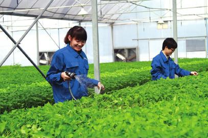 为大学生提供创业平台泸州江阳蔬菜园受捧