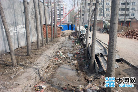 宝丰县有多少人口_宝丰县大营镇照片