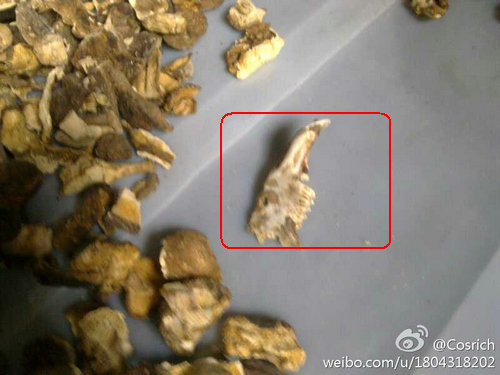 工作人员也在剩余的香菇中发现老鼠的下颚头骨。（戴玮摄）