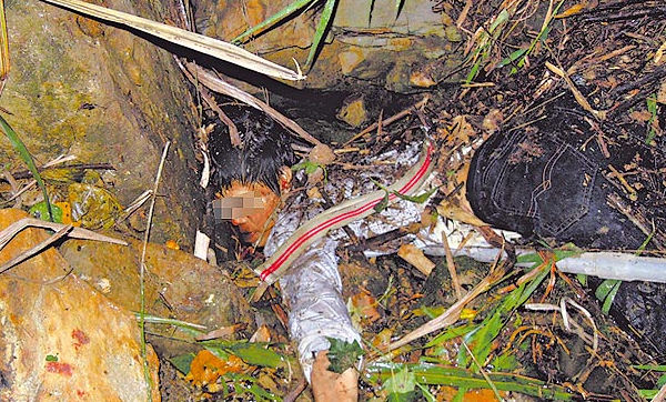 南投地震导致全台各地不同程度受灾 学者提醒