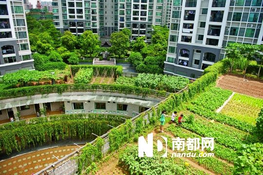 石屎森林变出绿色城堡