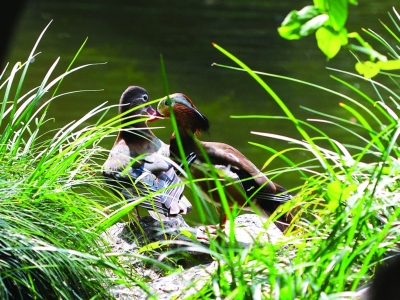 潘西,咱俩聊聊?