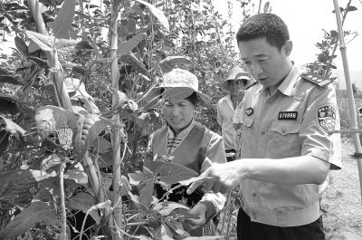 公安局长的角色定位