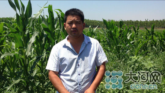 萝卜哥韩红刚:农民既要会弯腰刨土 还要会抬头看路_资讯频道_凤凰网