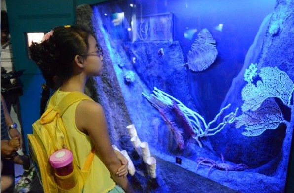 小朋友在认真观察海底生物模型。孙璐 摄 进入展区,一组带有深海独特声音的背景音乐带领观众开始了深海之旅,邂逅一些耸人听闻的生物,一睹世界上最大的鱿鱼-大王酸浆鱿的实物模型,体验到寒冷的气温,了解光在海水中的穿透性,感受到不同海水深度的压力,观察实物大小的海底黑烟喷口模型并了解喷口附件的动物们,甚至还可以亲身上阵体验一把模拟驾驶遥控潜水器(ROV)对蒙特里峡谷进行勘探。整个展览向观众展示了一个完全不同的世界,就像一个小朋友告诉记者的:真的太奇妙了!