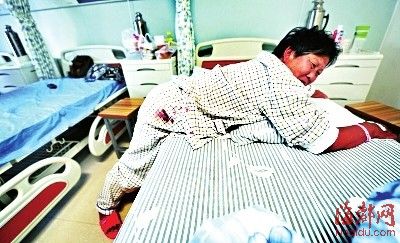 藏獒发情?连伤仨路人 北京再次发生恶犬伤人事