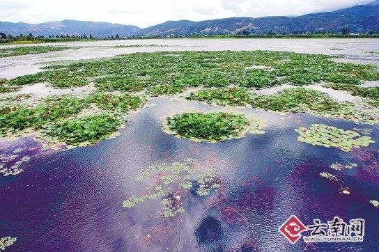 【环保世纪行】茈碧湖三退三还 水质得到改善