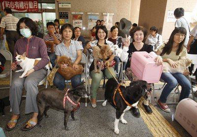 台湾狂犬病疫苗缺货 防检局长宠物也抢不到