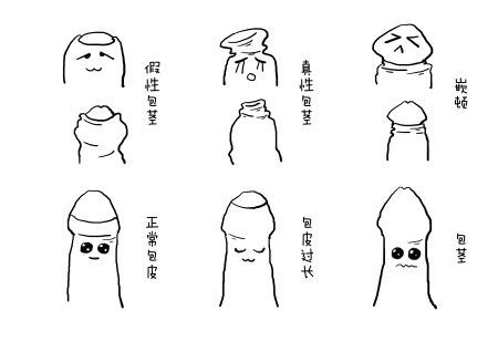 小JJ挨刀会不会冤