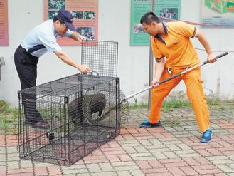 台湾重现绝迹52年狂犬病 紧急进口2500剂疫苗