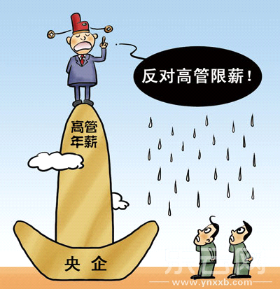 收入证明_薪水收入(2)
