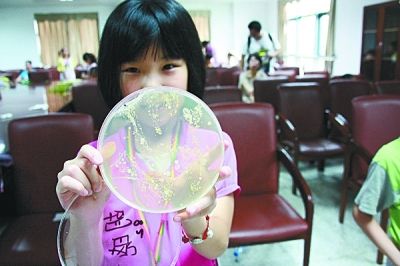 手上的细菌怎么如此多?_资讯频道_凤凰网