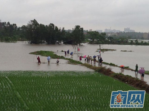 台风掀翻屋顶 高州信宜近十镇区地质灾害告急