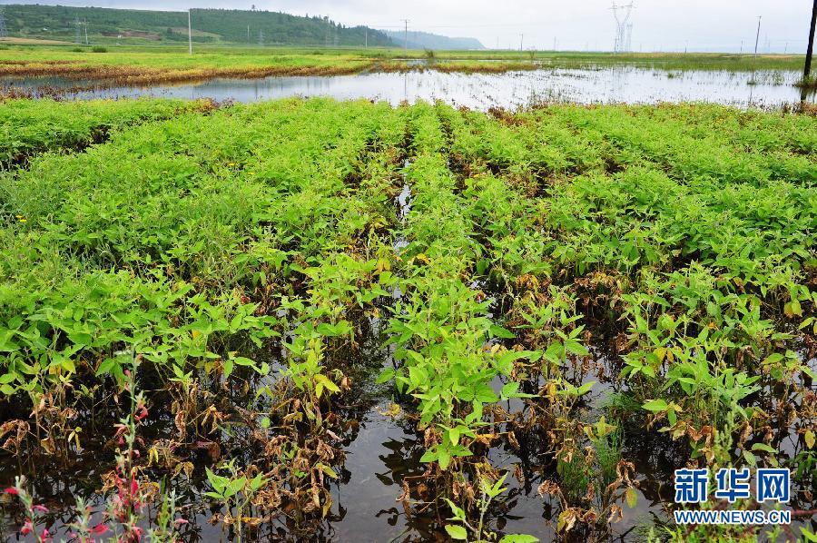 黑龙江呼玛遭遇洪涝灾害