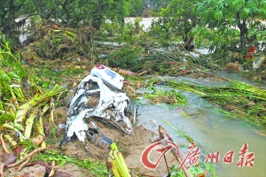 新闻  高州大坡镇格苍村,汽车被冲下河涌.