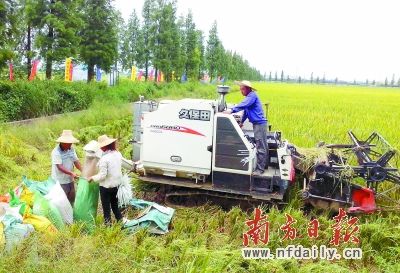 收入证明_近代农民的收入