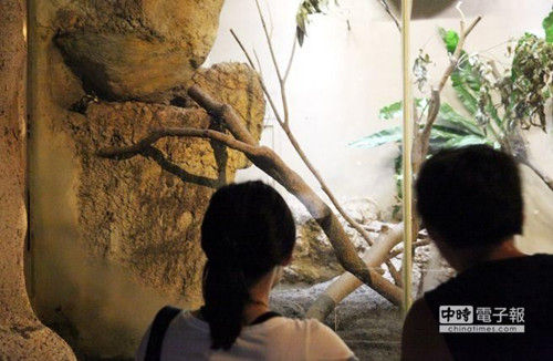 台湾狂犬病疫情升温 台北动物园禁带宠物入内