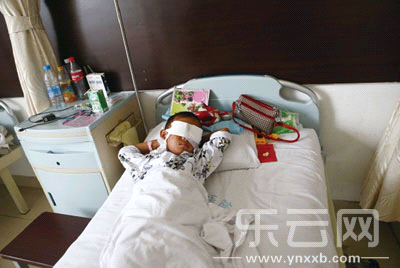 6岁男童被骗野地双眼遭挖永久失明