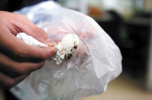 露鸽子蛋造假:用香蕉水浸泡鹌鹑蛋祛斑 对人体