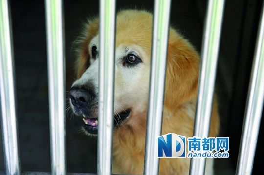 它们,让毒犯恨之入骨_资讯频道_凤凰网