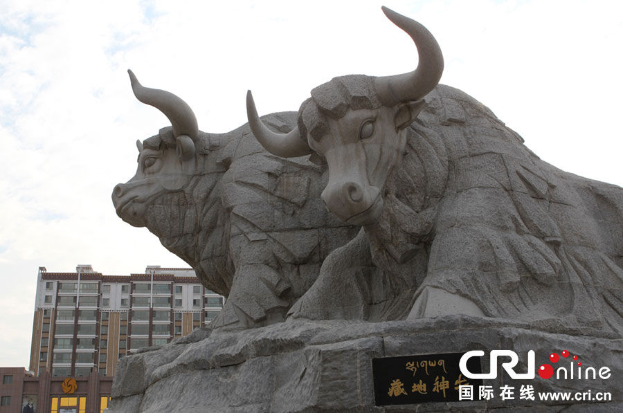天祝白牦牛工艺品 藏族传统文化的传承与发展