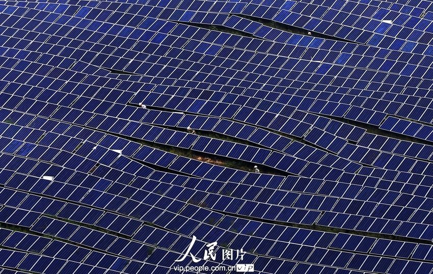 江苏首个地面光伏发电项目并网发电 占地850亩