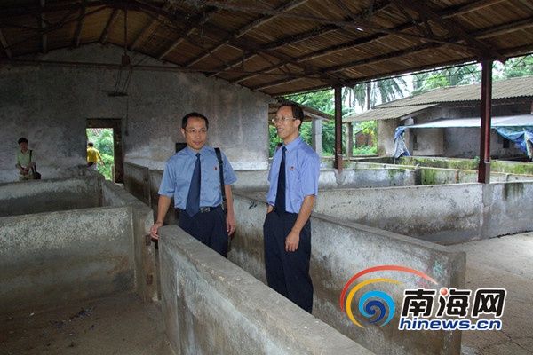 海口罗牛山六猪场违规排污七年 检察机关介入