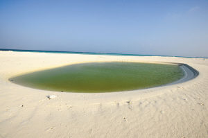 西沙群岛旅游团,去西沙的游轮需要什么手续?去