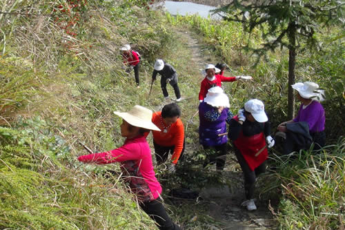 鹤峰县走马镇巾帼志愿服务队绘出最美夕阳红(