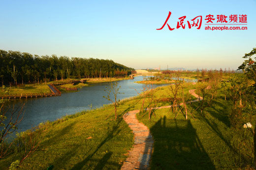 合肥滨湖湿地森林公园荣升国字号让市民享受