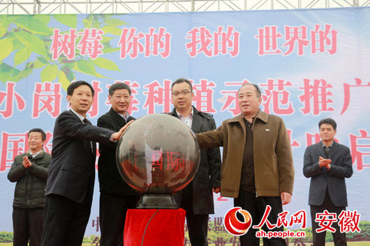 树莓生产者联盟主席李加虎、滁州市人民政府